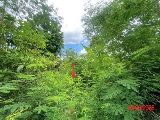 รูป ที่ดินว่างเปล่า 2861 ตร.วา เวียงหนองล่อง ลำพูน 2M - รูปที่ 6/15