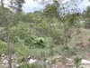 listing thumbnail image 28