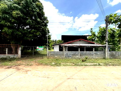 บ้านเดี่ยว ปะคำ บุรีรัมย์ : บ้านเดี่ยว 189 ตร.วา ปะคำ บุรีรัมย์ 799,000