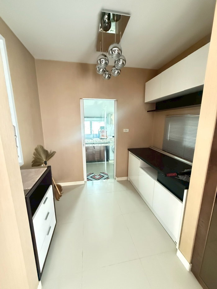 picture Siwalee Korat for sale urgenly - 9/14