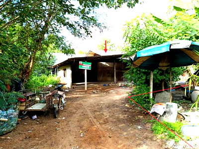 บ้านเดี่ยว นครราชสีมา (โคราช) : บ้านเดี่ยว 123 ตร.วา โชคชัย นครราชสีมา 732,000