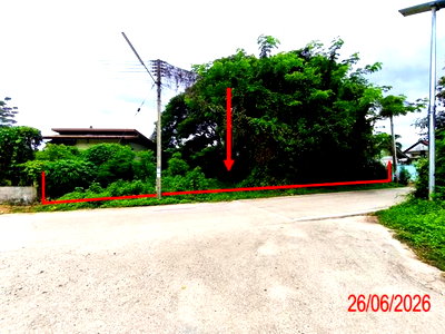 Land for sale Hang Chat Lamphang : LAND 933 Sq.w. Hang Chat Lamphang for 2.1M