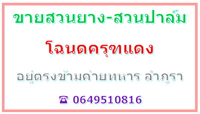 ขายที่ดิน : ขายสวนยาง 7 ไร่ -สวนปาล์ม 30 ไร่