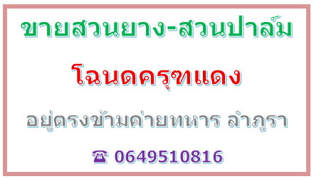 ขายสวนยาง 7 ไร่ -สวนปาล์ม 30 ไร่