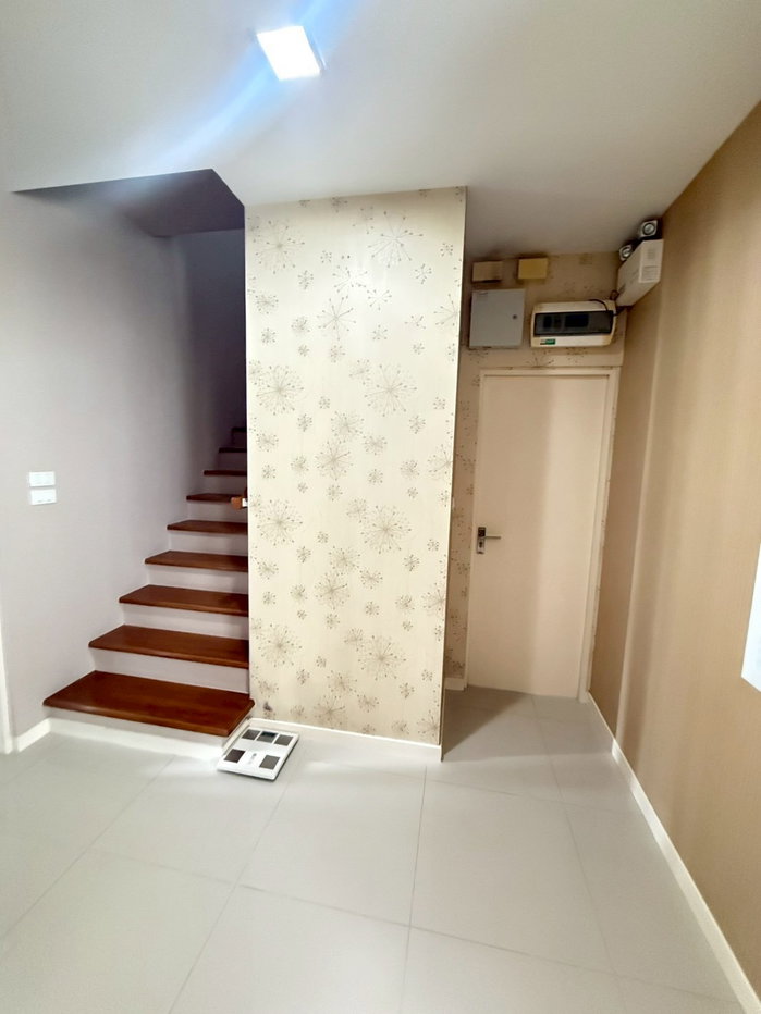 picture Siwalee Korat for sale urgenly - 5/14