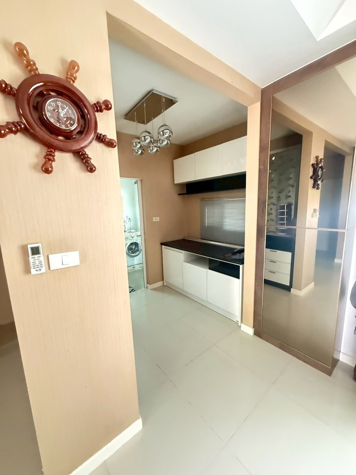 picture Siwalee Korat for sale urgenly - 8/14