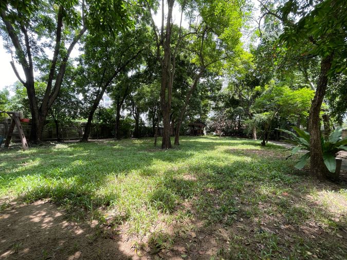 ขายที่ดิน 500 ตร.ว. เขตจตุจักร