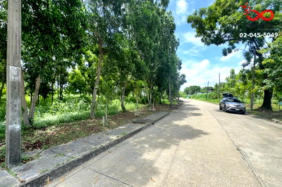 ที่ดิน เขตคลองสามวา : ขายที่ดิน 179 ตร.ว. ถนนเลียบคลองสอง - หทัยราษฎร์ ใกล้รถไฟฟ้าสายสีชมพู