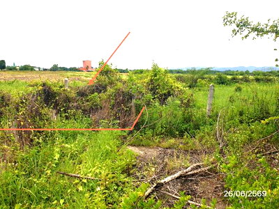Land for sale : LAND 115 Sq.w. Muang Lampang Lamphang for 403,000