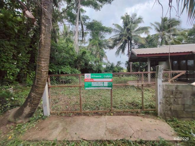 รูป บ้านเดี่ยว 135 ตร.วา โพนพิสัย หนองคาย 717,000 - รูปที่ 2/29