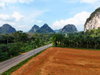 listing thumbnail image 11