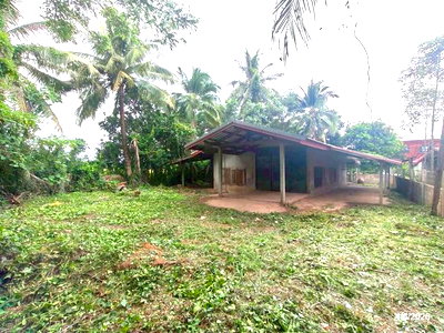 Houses for sale Nongkai : HOME 135 Sq.w. Phon Phisai Nongkai for 717,000