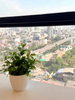listing thumbnail image 25