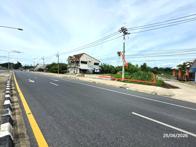 picture LAND 442 Sq.w. Kanchanadit Surat Thani for 1.9M - 4/25