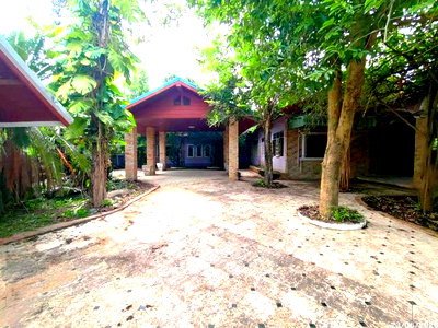 Houses for sale : HOME 199 Sq.w. Si Bun Ruang Nong Bua Lam Phu for 3M
