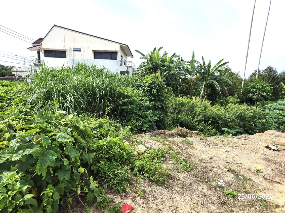 picture LAND 442 Sq.w. Kanchanadit Surat Thani for 1.9M - 19/25