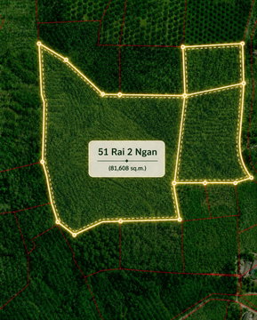 ขายที่ดินบนเขา 51 ไร่ ต.บางม่วง อ.ตะกั่วป่า จ.พังงา วิวทะเล ใกล้หาดบางสัก