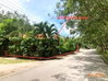 listing thumbnail image 13