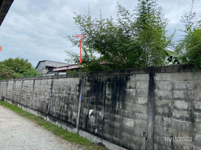 picture FACTORY 1705 Sq.w. Ban Bung Chonburi for 16.2M - 5/25
