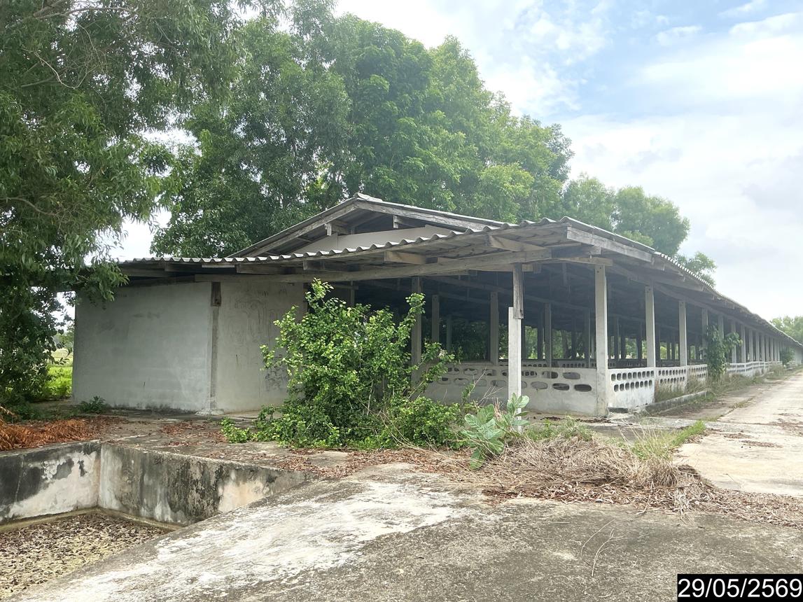 picture LAND 3846 Sq.w. Krasang Buri Ram for 3.3M - 21/35