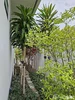 listing thumbnail image 22