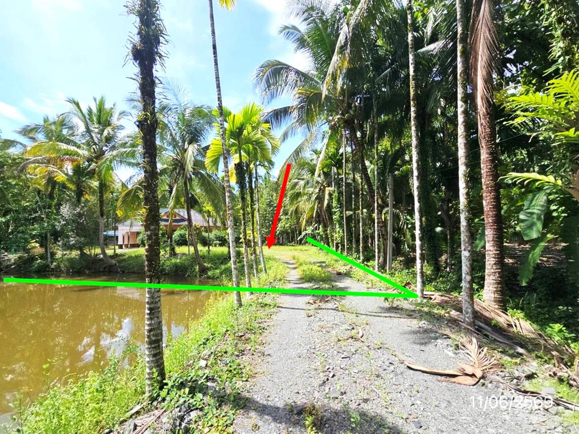 picture HOME 1504 Sq.w. Muang Trat Trat for 4.2M - 11/15