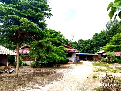 บ้านเดี่ยว เชียงราย : บ้านเดี่ยว 382 ตร.วา เมืองเชียงราย เชียงราย 3.5M
