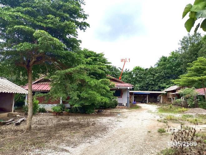 รูป บ้านเดี่ยว 382 ตร.วา เมืองเชียงราย เชียงราย 3.5M - รูปที่ 1/25