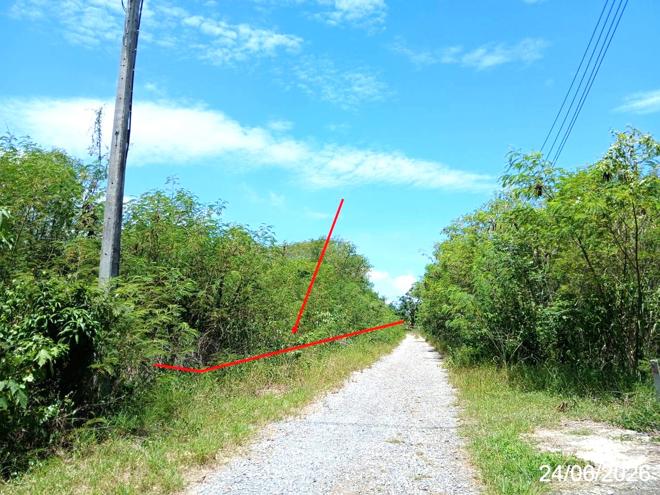 picture LAND 1980 Sq.w. Wang Muang Saraburi for 3.9M - 5/21