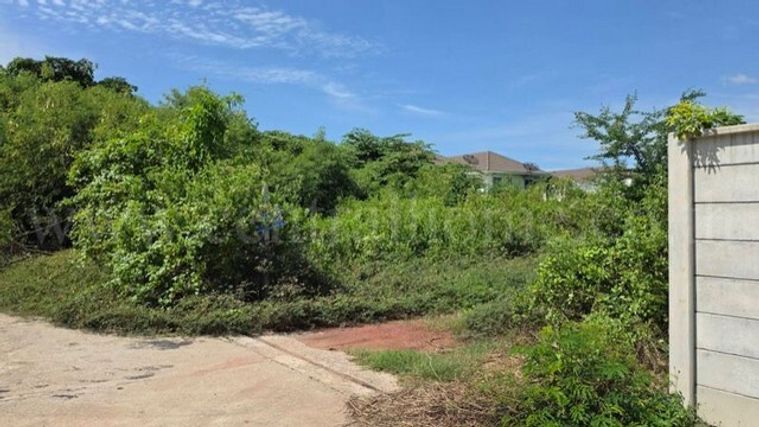 ขายที่ดิน 242 ตร.ว. เขตบางขุนเทียน