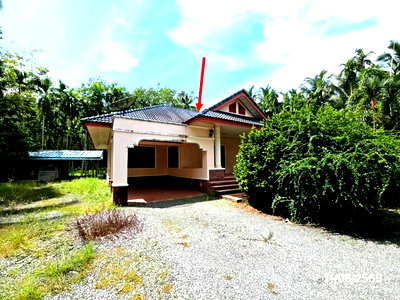 บ้านเดี่ยว ตราด : บ้านเดี่ยว 1504 ตร.วา เมืองตราด ตราด 4.2M