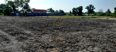 Land for sale Khlong Luang Pathumthani : 🔥 URGENT SALE! Fully Filled Land @Khlong Luang, Pathum Thani (Khlong L3-4)