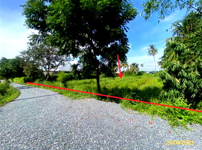 ขายที่ดิน : ที่ดินว่างเปล่า 286 ตร.วา นครชัยศรี นครปฐม 2M