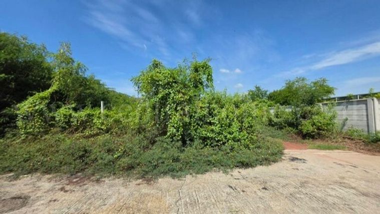 ขายที่ดิน 242 ตร.ว. เขตบางขุนเทียน