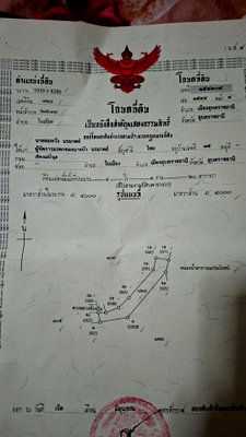ที่ดิน โรงเรียนบ้านทัพไทย : ขายที่ดินในเมืองอุบลราชธานี ริมแม่น้ำมูล ทำเลดีติดถนน