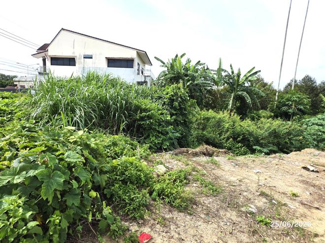 picture LAND 442 Sq.w. Kanchanadit Surat Thani for 1.9M - 9/25