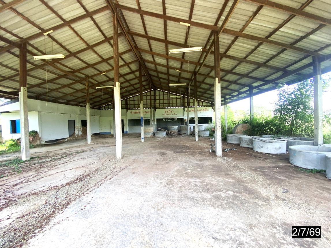 รูป บ้านเดี่ยว 3167 ตร.วา ห้วยผึ้ง กาฬสินธุ์ 9.5M - รูปที่ 33/45