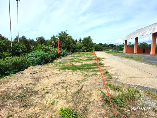 picture LAND 442 Sq.w. Kanchanadit Surat Thani for 1.9M - 5/25