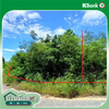 listing thumbnail image 18
