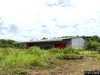 listing thumbnail image 31