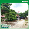 listing thumbnail image 22
