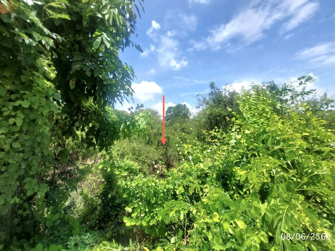 รูป ที่ดินว่างเปล่า 1135.5 ตร.วา เมืองสุพรรณบุรี สุพรรณบุรี 14.5M - รูปที่ 13/17