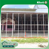 listing thumbnail image 42