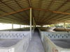 listing thumbnail image 25