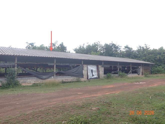 รูป ฟาร์ม 5495 ตร.วา หนองกี่ บุรีรัมย์ 13.2M - รูปที่ 9/27