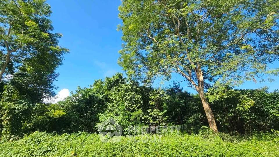 รูป ที่ดินขาย ขนาด 47 ตร.ม. ริมใต้ แม่ริม เชียงใหม่ (ID 3213191) - รูปที่ 4/5