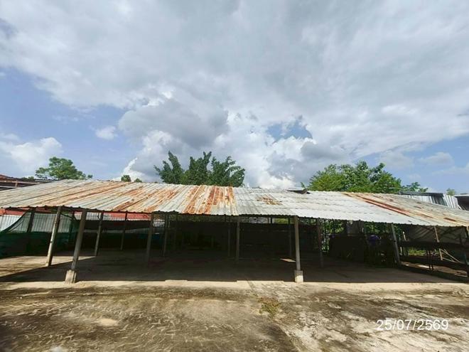 picture FACTORY 1815.7 Sq.w. Warin Chamrap Ubon Ratchathani for 31M - 37/113