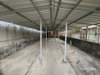 listing thumbnail image 35
