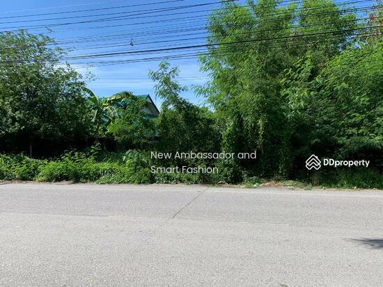 รูป ขายที่ดิน ใกล้ ม.มหิดล เซ็นทรัลศาลายา จ.นครปฐม - รูปที่ 3/4