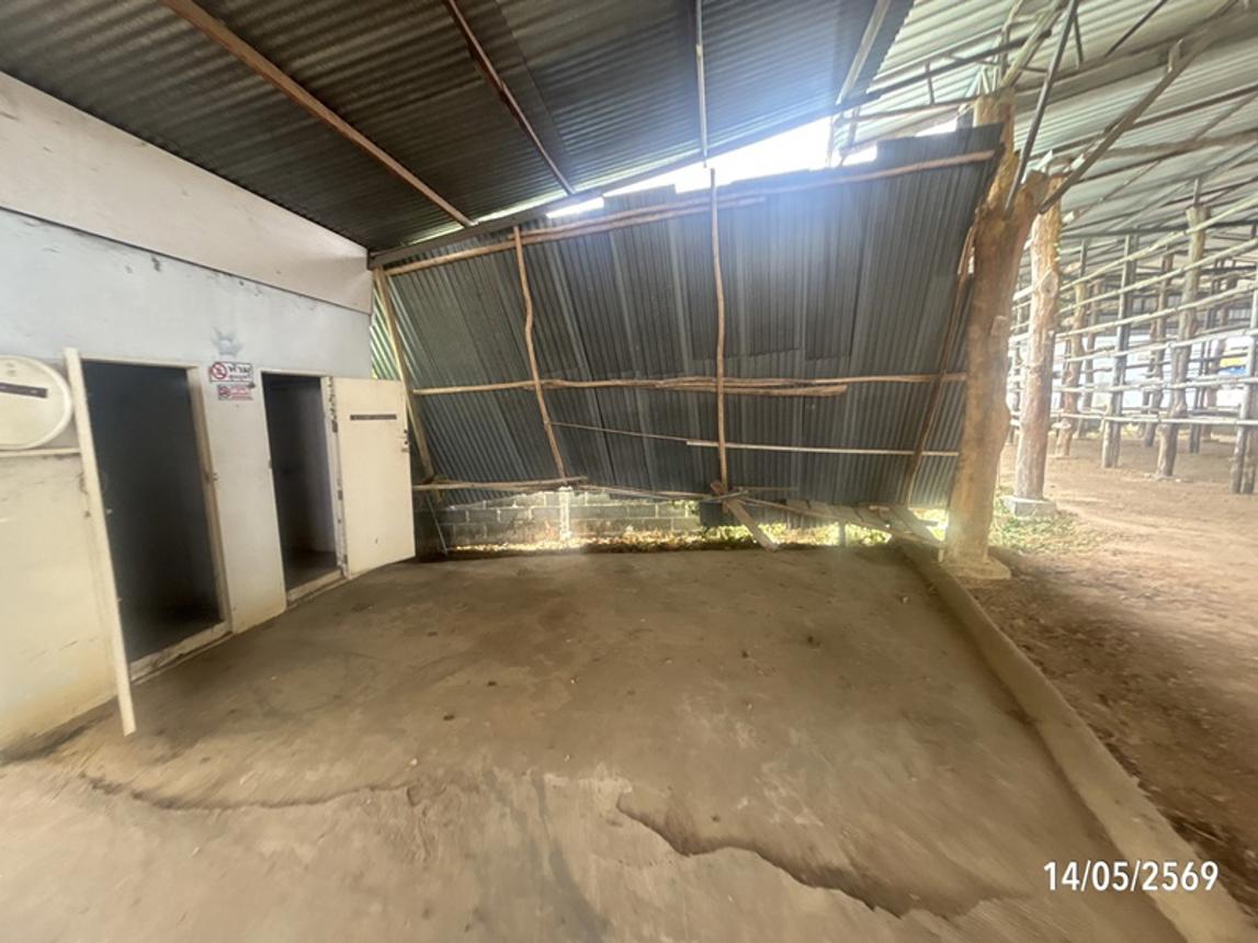 รูป เพิงอเนกประสงค์ 370 ตร.วา ยางชุมน้อย ศรีสะเกษ 1.5M - รูปที่ 22/29